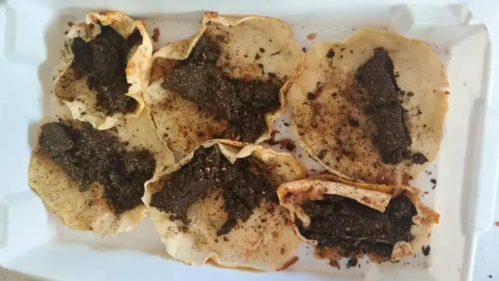 Mulher é presa com panquecas recheadas de maconha em presídio