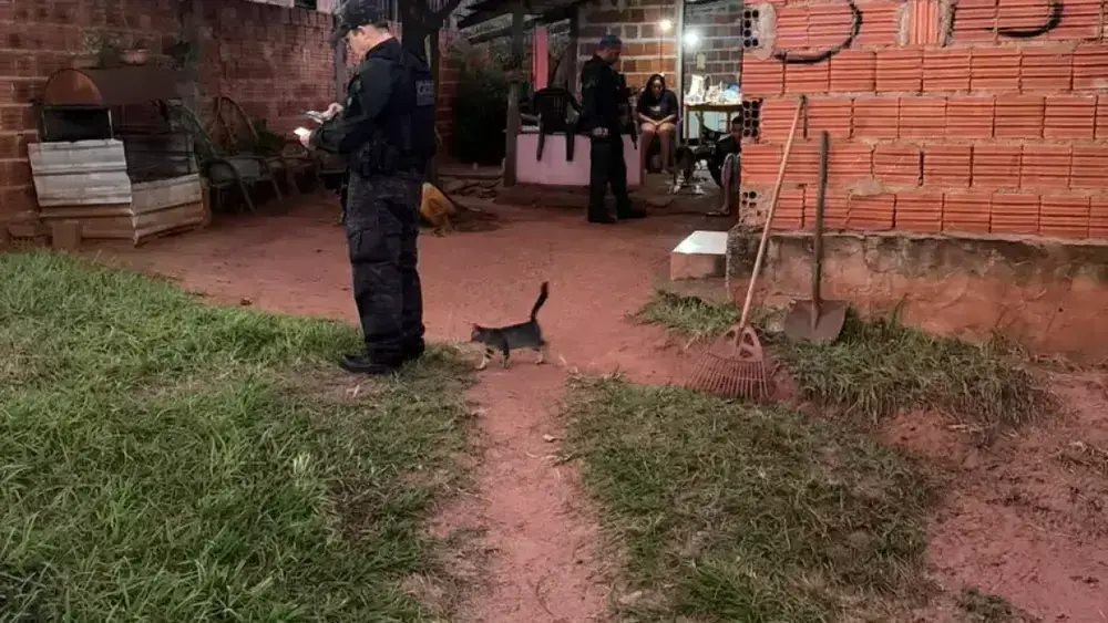 Operação Hércules mira facção em execução na rodoviária