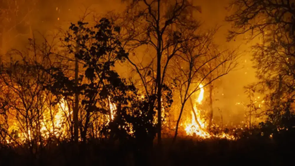 TRT-24 mantém condenação da Arauco por expor trabalhador a incêndios